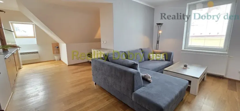 Pronájem bytu 1+kk, Opava, Nerudova, 53 m2