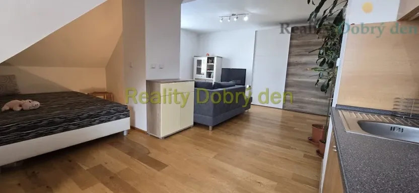 Pronájem bytu 1+kk, Opava, Nerudova, 53 m2