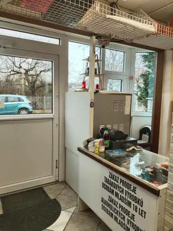 Pronájem obchodního prostoru, Plzeň, Na Výsluní, 50 m2