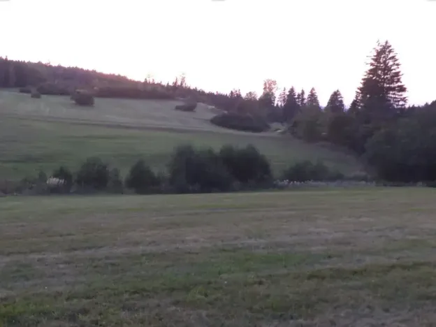 Dražba louky, Čistá u Horek, 14711 m2