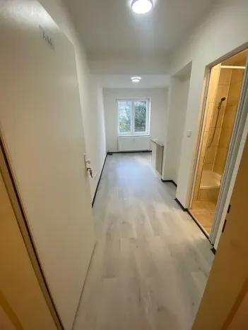Pronájem bytu 1+kk, Praha - Hlubočepy, Na Zlíchově, 20 m2