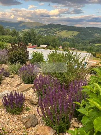 Prodej ubytování, Paseky nad Jizerou, 345 m2