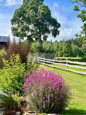 Prodej ubytování, Paseky nad Jizerou, 345 m2