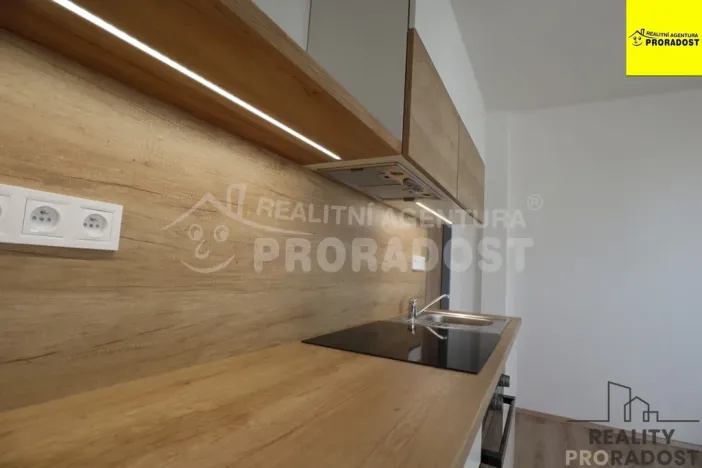 Pronájem bytu 1+kk, Břeclav, Na Valtické, 20 m2