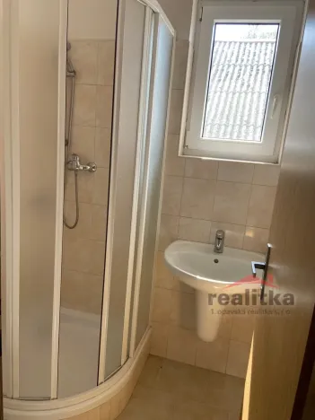 Prodej rodinného domu, Opava - Jaktař, Přemyslovců, 525 m2