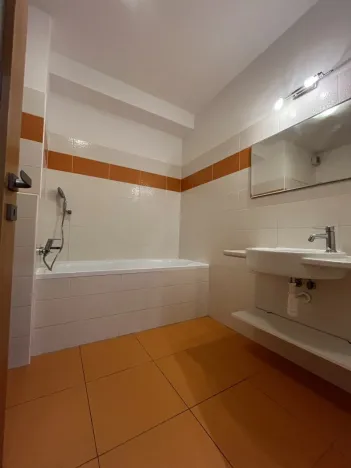 Pronájem bytu 1+kk, Olomouc - Nové Sady, Družební, 38 m2