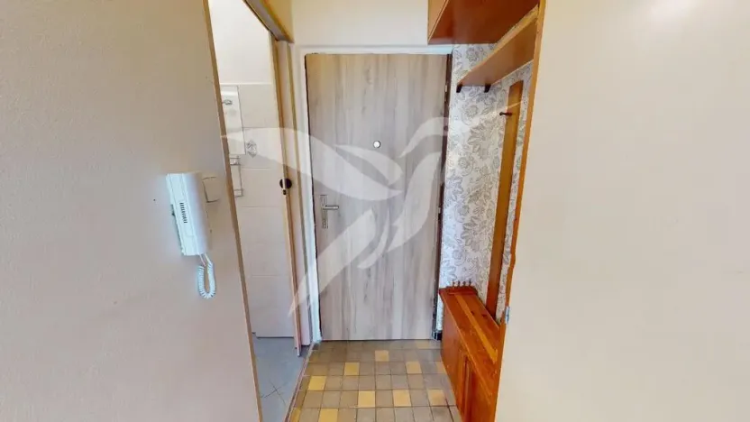 Pronájem bytu 1+kk, Plzeň, Skupova, 20 m2