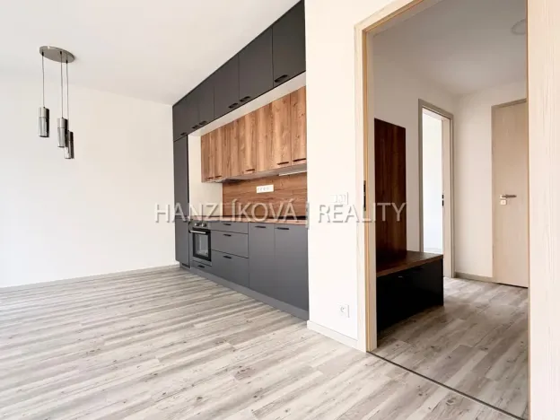 Pronájem bytu 2+kk, České Budějovice - České Budějovice 3, Hálkova, 49 m2