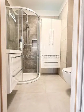 Pronájem bytu 2+kk, České Budějovice - České Budějovice 3, Hálkova, 49 m2