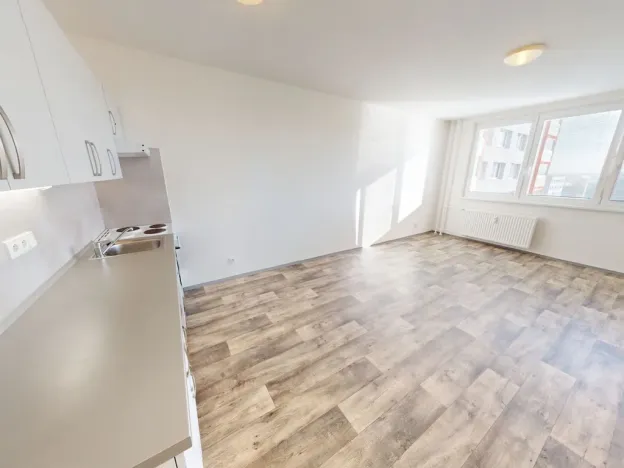 Pronájem bytu 1+kk, Ostrava - Dubina, Jana Maluchy, 32 m2