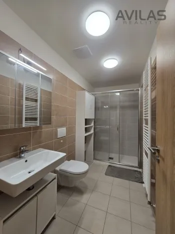 Pronájem bytu 1+kk, Benešov, 102. pluku, 33 m2