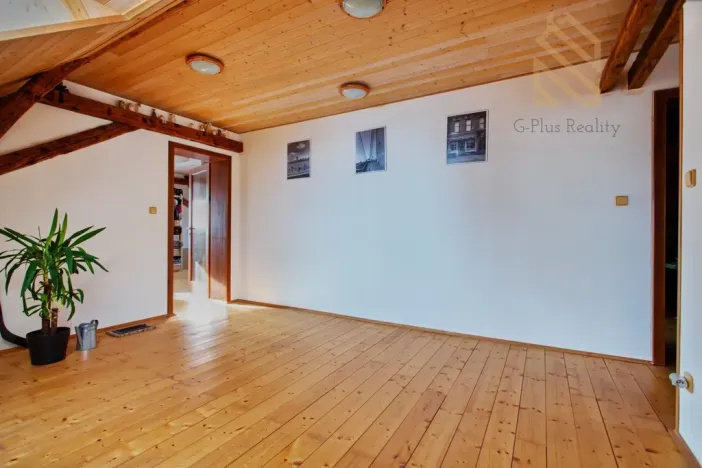 Prodej rodinného domu, Velemín - Dobkovičky, 240 m2