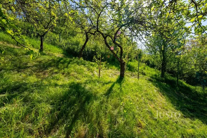 Pronájem bytu 3+1, Uherské Hradiště, U Cihelny, 63 m2