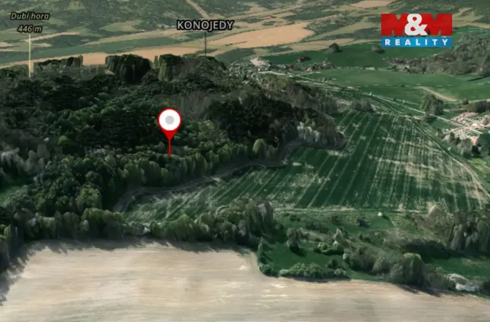 Prodej lesa, Kravaře, 4458 m2