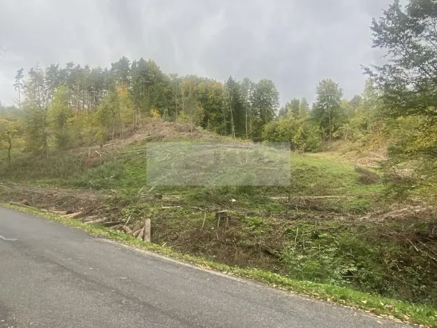 Prodej lesa, Český Dub, 17012 m2