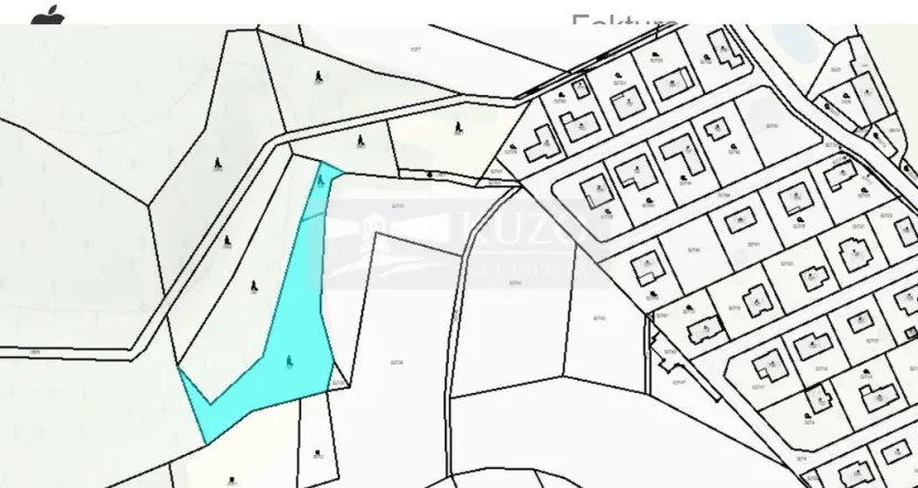 Prodej lesa, Jivina, 3138 m2