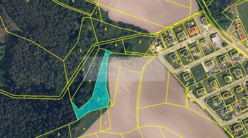 Prodej lesa, Jivina, 3138 m2