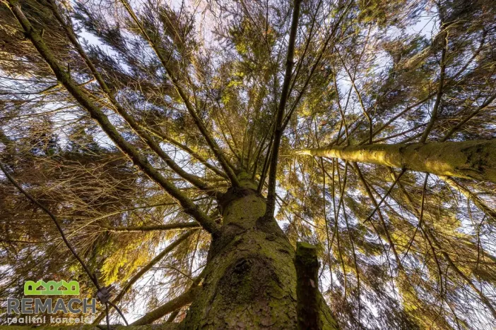 Prodej rodinného domu, Moravský Písek, Ostrožská, 178 m2