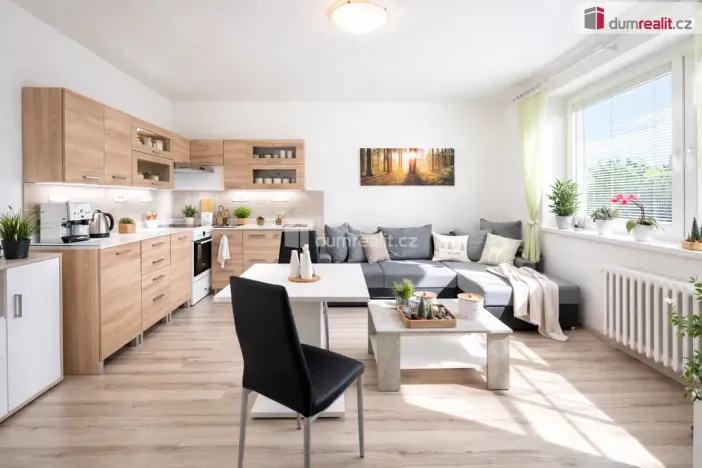 Pronájem bytu 2+kk, Ústí nad Labem - Severní Terasa, Brandtova, 43 m2