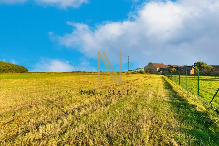 Prodej pozemku pro bydlení, Puclice, 3058 m2