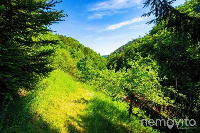 Prodej rodinného domu, Štěchovice, Zadní konce, 50 m2