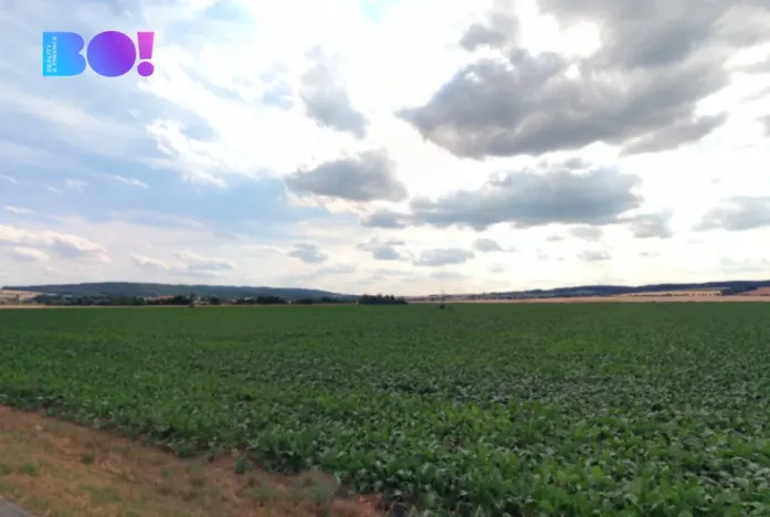 Prodej pole, Náměšť na Hané, 24109 m2