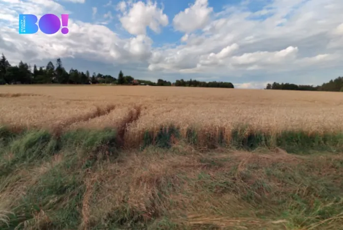 Prodej pole, Prostějov, 29929 m2