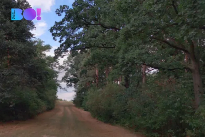 Prodej pole, Prostějov, 29929 m2