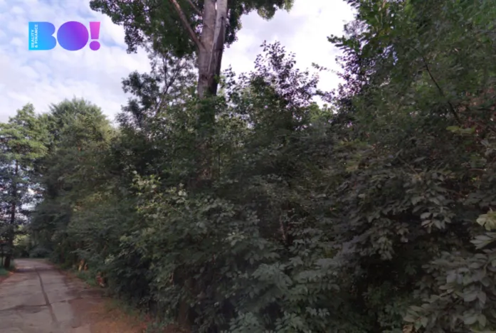 Prodej pole, Prostějov, 29929 m2