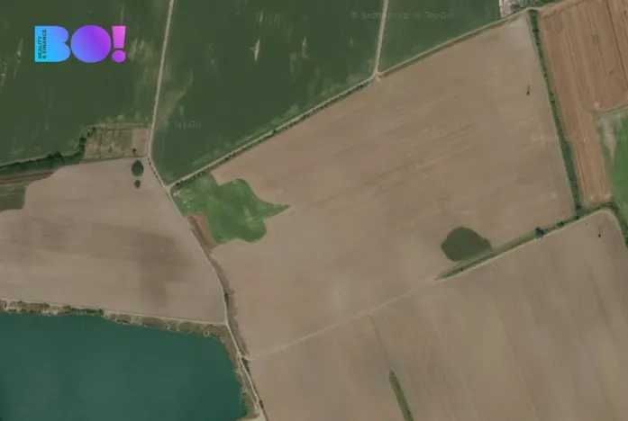 Prodej pole, Grygov, 5882 m2