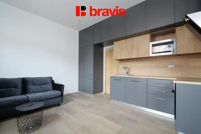 Pronájem bytu 1+kk, Brno, Horova, 36 m2