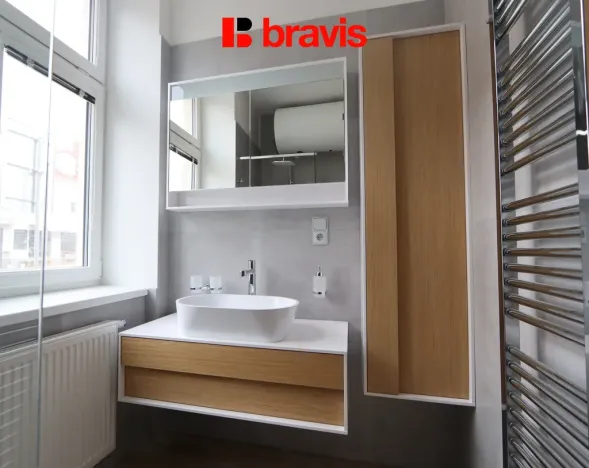 Pronájem bytu 1+kk, Brno, Horova, 36 m2