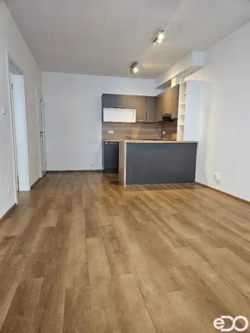 Pronájem bytu 2+kk, Praha, Kryšpínova, 59 m2
