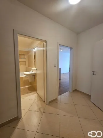 Pronájem bytu 2+kk, Praha, Kryšpínova, 59 m2