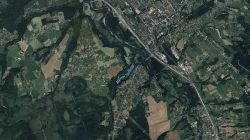 Prodej podílu lesa, Bystřice, 6434 m2