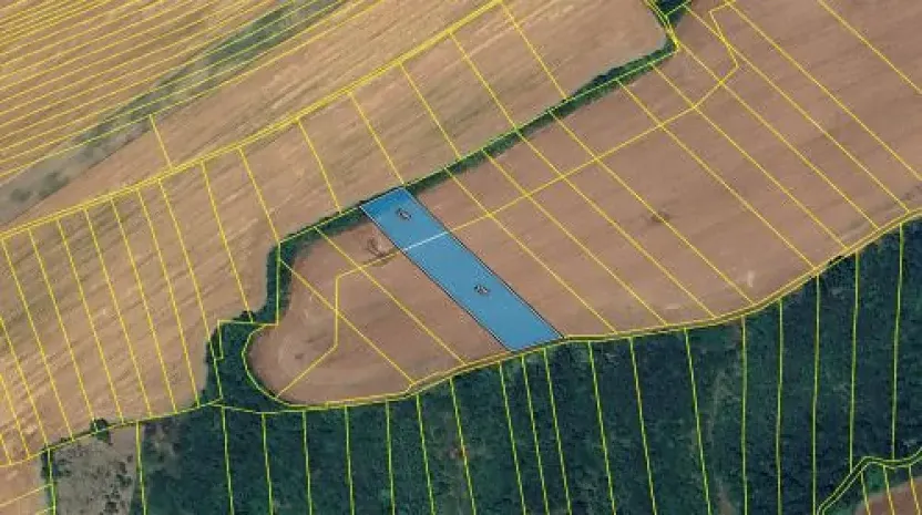 Prodej podílu pole, Nedachlebice, 1192 m2