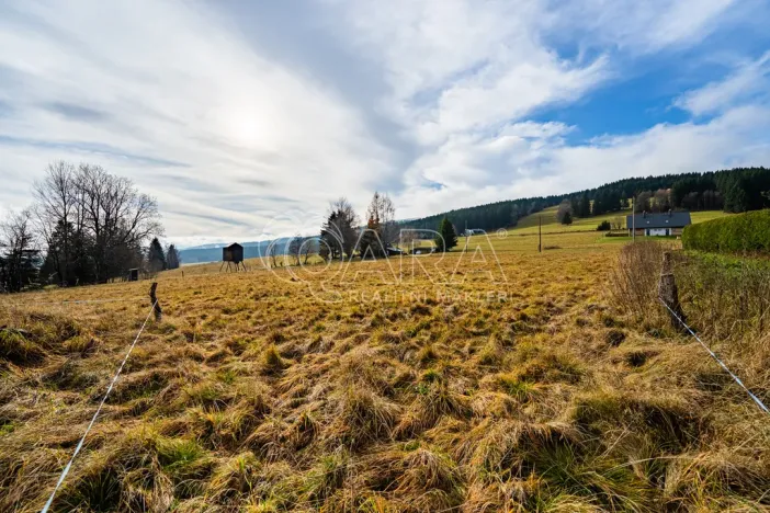 Prodej pozemku pro bydlení, Orlické Záhoří, 4018 m2