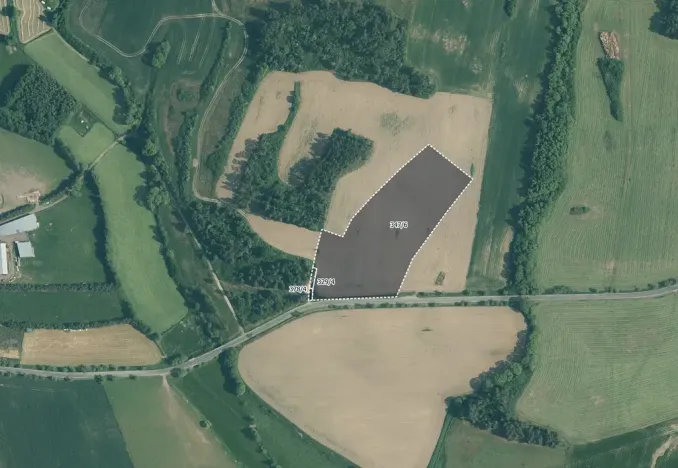 Prodej pole, Velký Bor, 34439 m2