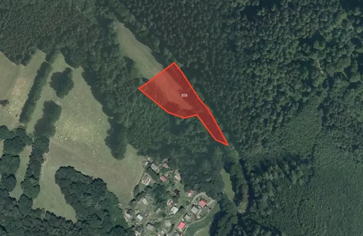 Prodej louky, Zábřeh, 13294 m2