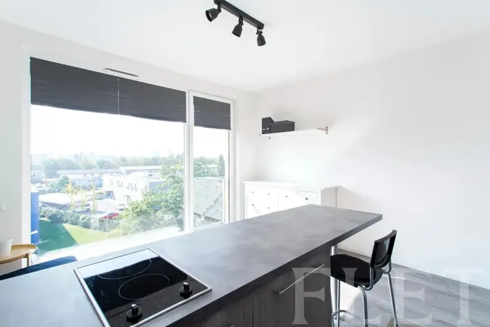 Pronájem bytu 1+kk, Praha - Žižkov, Olgy Havlové, 27 m2