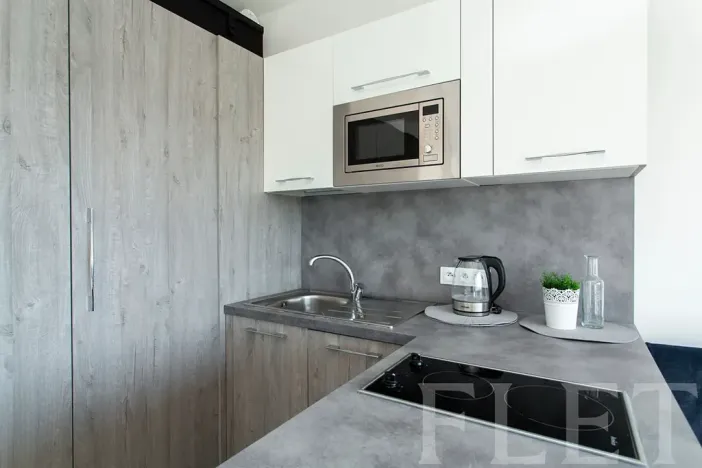 Pronájem bytu 1+kk, Praha - Žižkov, Olgy Havlové, 27 m2