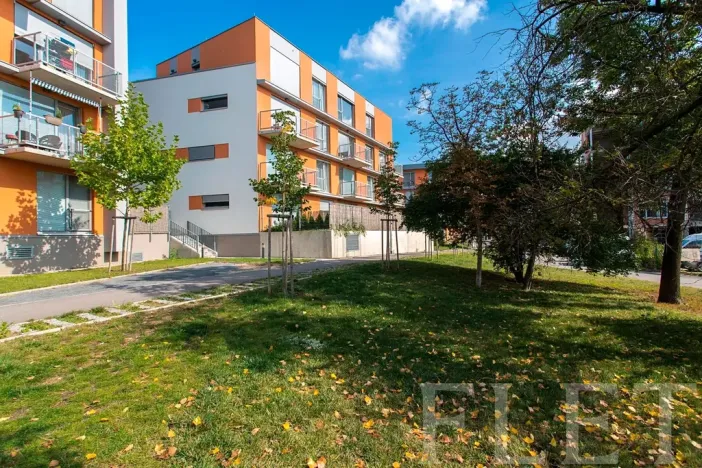 Pronájem bytu 1+kk, Praha - Žižkov, Olgy Havlové, 27 m2