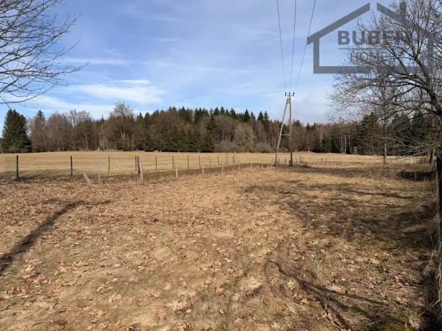 Prodej pozemku pro bydlení, Chodský Újezd - Žďár, 2889 m2