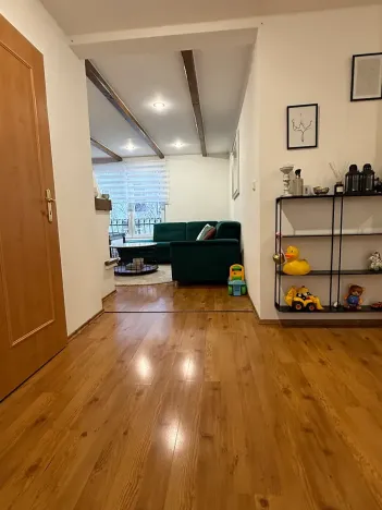 Pronájem bytu 5+kk, Brno, Skořepka, 146 m2