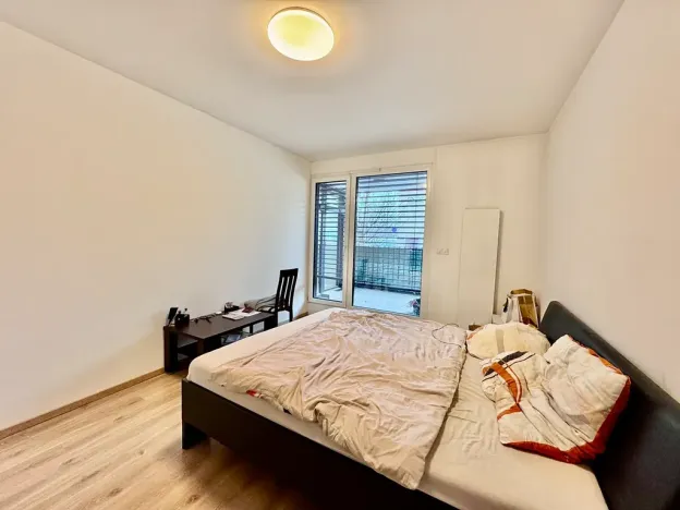 Prodej bytu 2+1, Brno, U Červeného mlýna, 57 m2