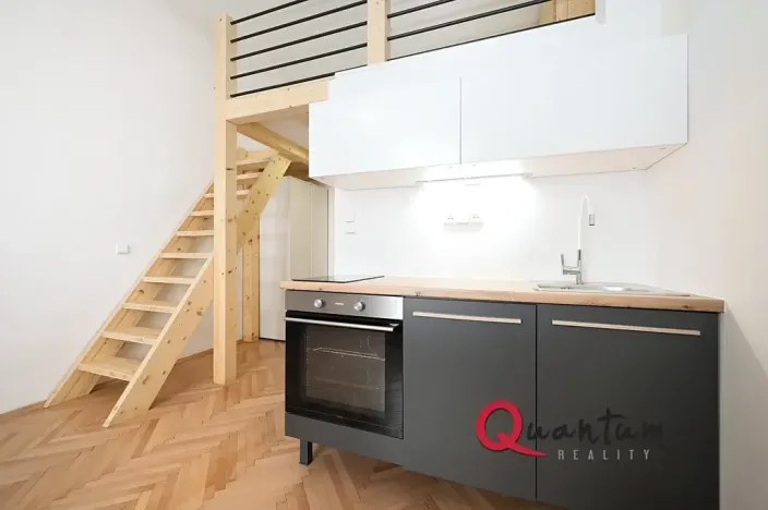 Pronájem bytu 1+kk, Praha - Nusle, Oldřichova, 19 m2