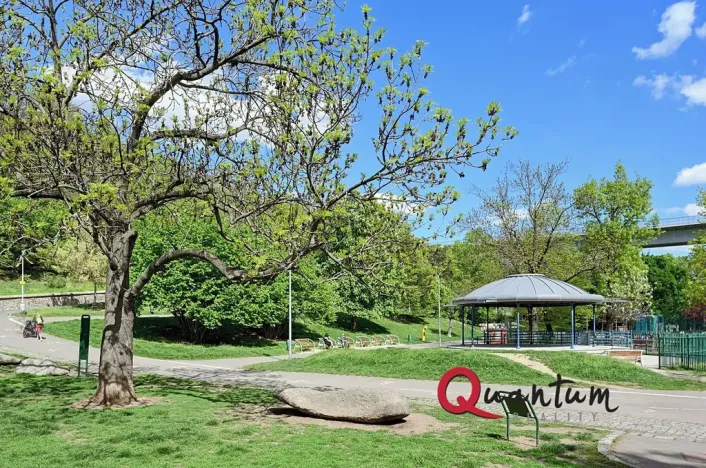 Pronájem bytu 1+kk, Praha - Nusle, Oldřichova, 19 m2