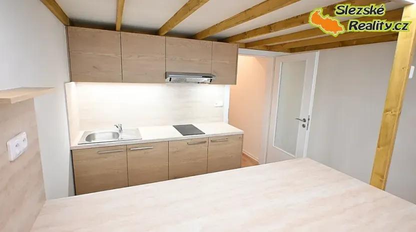 Pronájem bytu 1+kk, Ostrava, Palackého, 26 m2