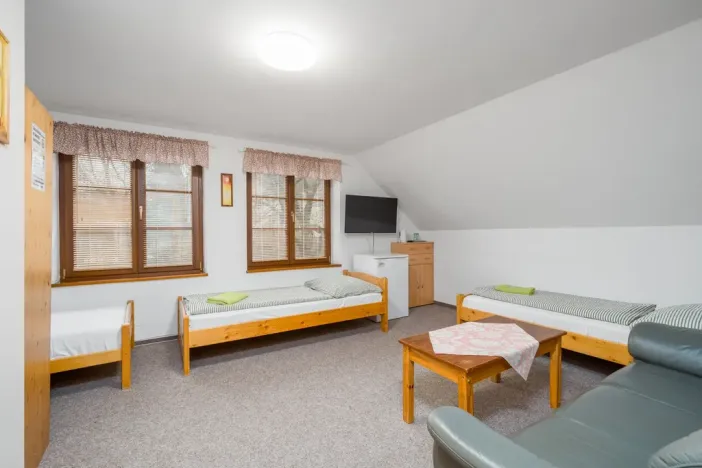 Prodej rodinného domu, Nový Bor - Janov, 200 m2