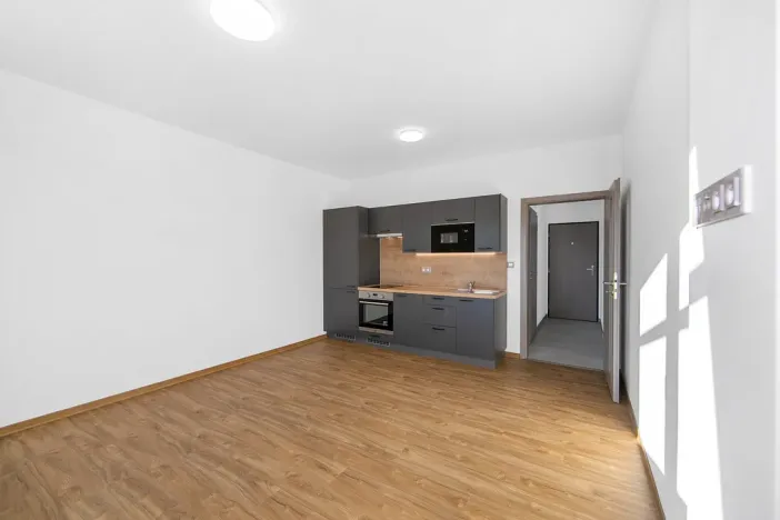 Pronájem bytu 1+kk, Plzeň - Severní Předměstí, Bolevecká, 27 m2